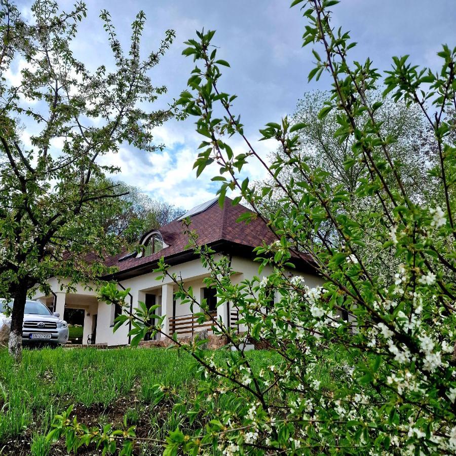 Hotel Provence Suceava Exterior foto