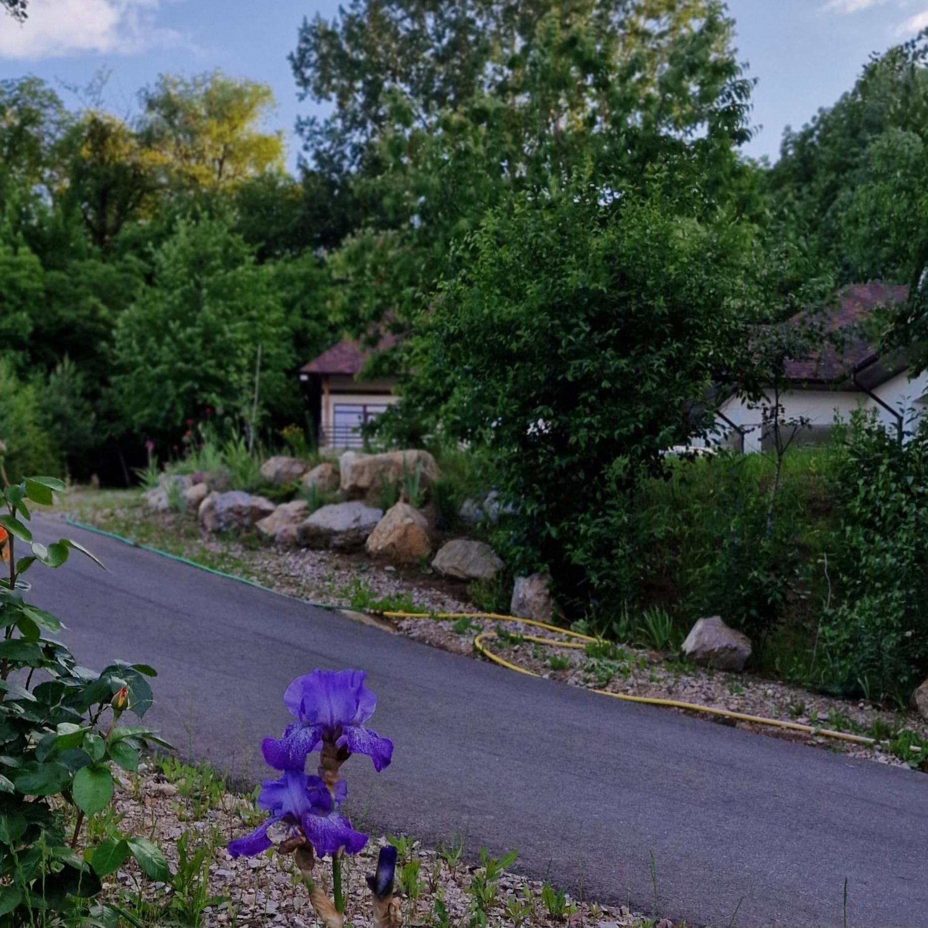 Hotel Provence Suceava Exterior foto